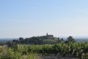 DSC_0823web